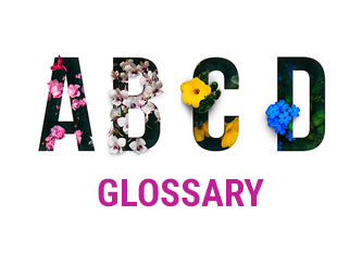 Ingredient Glossary