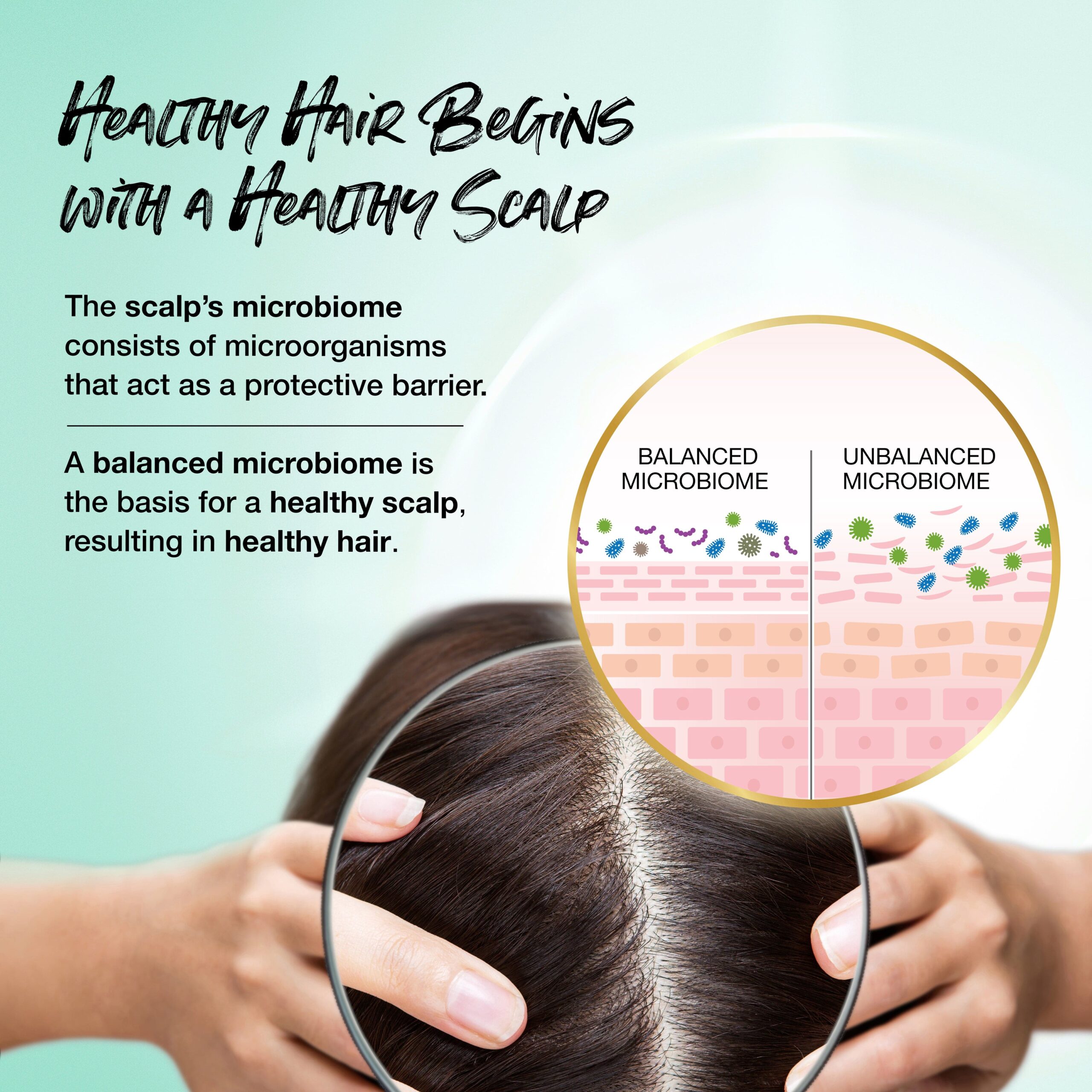 Healthy hair begins with a healthy scalp with Biotera flexible hold finishing spritz. The scales microbiome consists of microorganisms that act as a protective barrier. A balanced microbiome is the basis for a healthy scalp, resulting in healthy hair. Accompanying image of scalp under microscope.